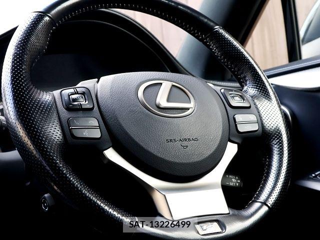 Lexus NX 2015-11 7979771-15