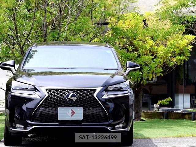 Lexus NX 2015-11 7979771-4