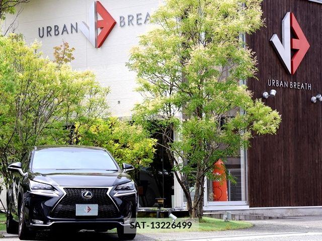 Lexus NX 2015-11 7979771-5
