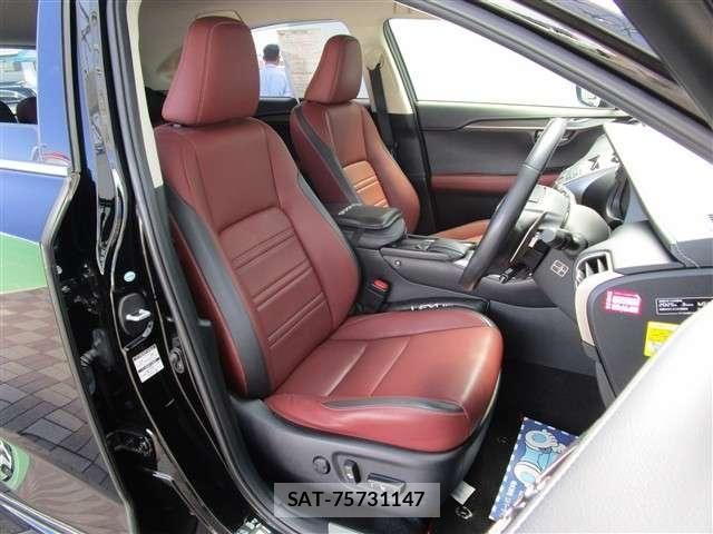 Lexus NX 2015-10 8100148-12