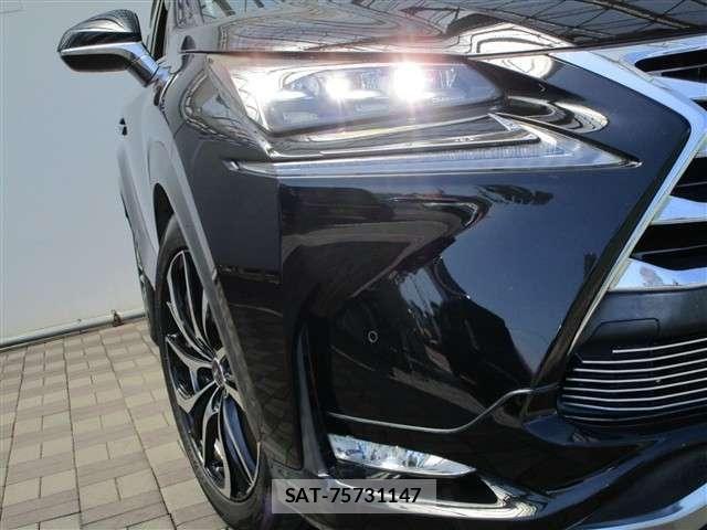 Lexus NX 2015-10 8100148-15