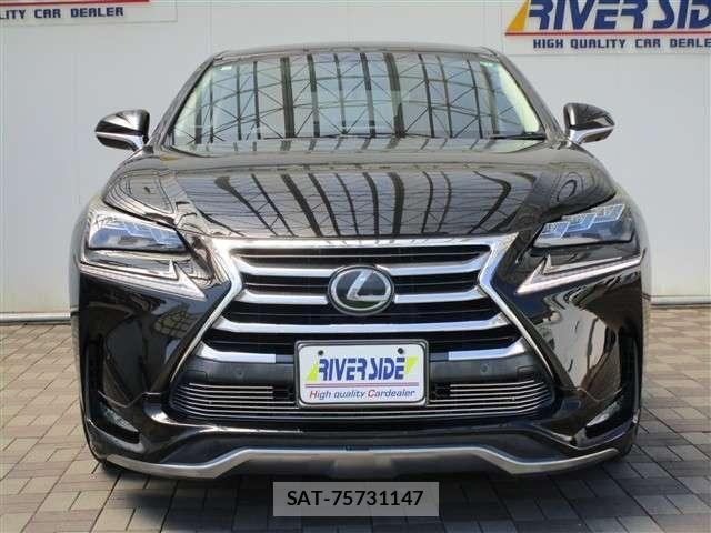 Lexus NX 2015-10 8100148-16