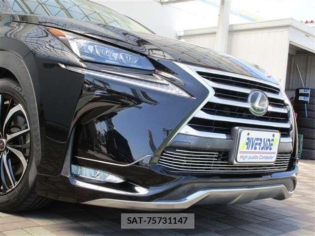 Lexus NX 2015-10 8100148-17