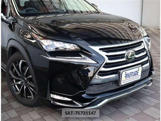 Lexus NX 2015-10 8100148-18