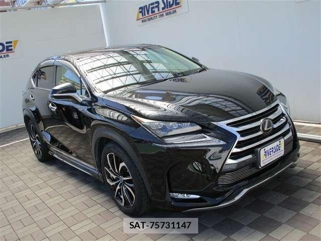 Lexus NX 2015-10 8100148-19