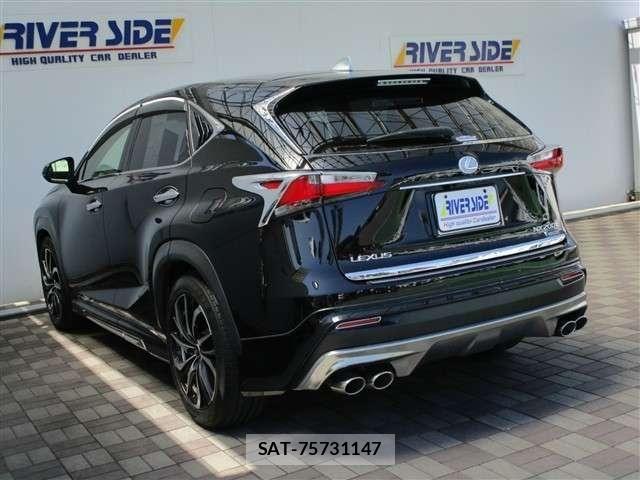 Lexus NX 2015-10 8100148-23