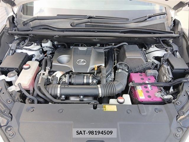Lexus NX 2014-12 8146069-18