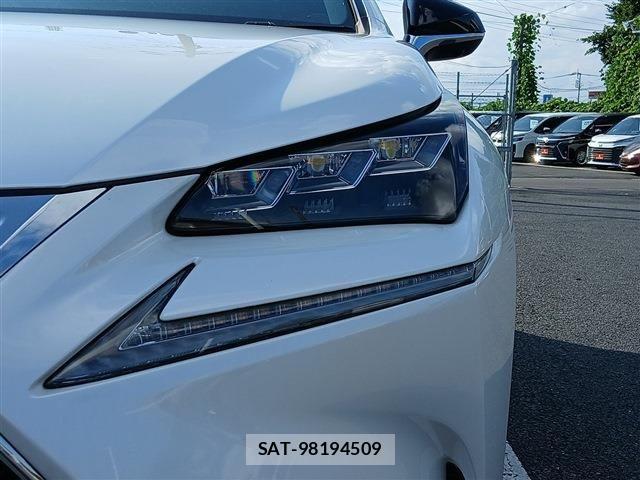 Lexus NX 2014-12 8146069-25