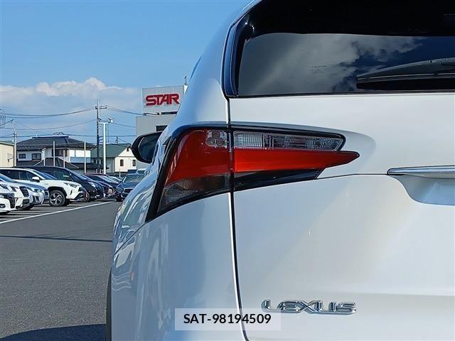 Lexus NX 2014-12 8146069-26