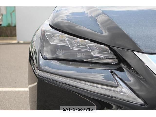 Lexus NX 2015-09 8366750-13