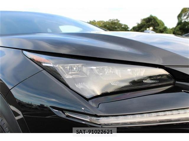 Lexus NX 2014-07 8457808-10
