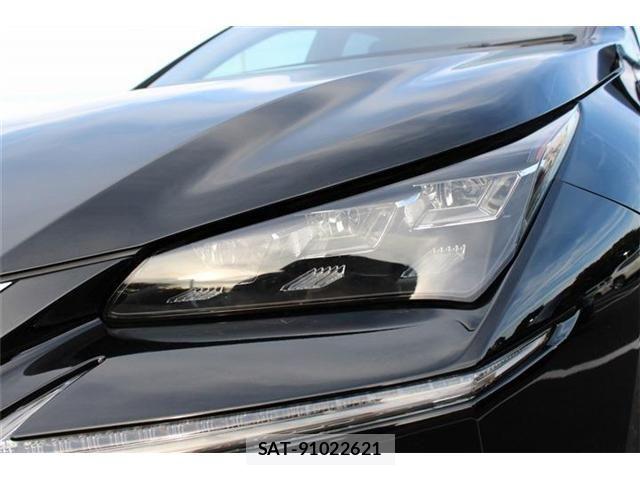 Lexus NX 2014-07 8457808-11