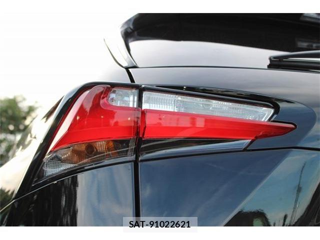Lexus NX 2014-07 8457808-12