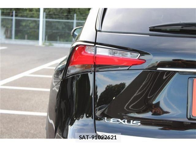 Lexus NX 2014-07 8457808-20