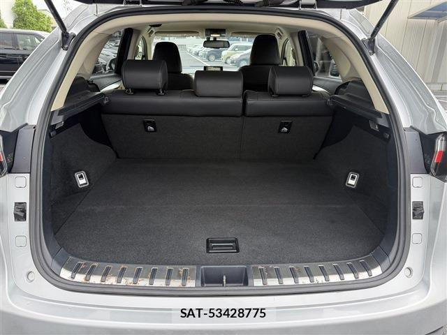 Lexus NX 2015-07 8666407-18