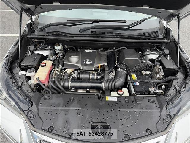 Lexus NX 2015-07 8666407-19