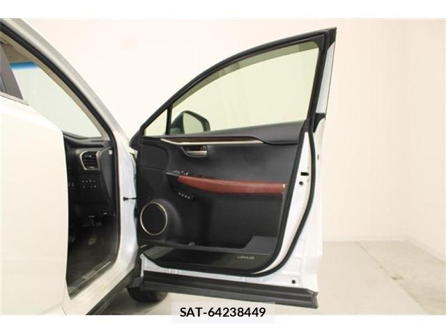 Lexus NX 2014-10 8666408-29