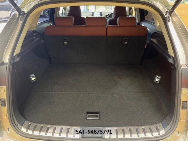 Lexus NX 2017-03 8666406-9