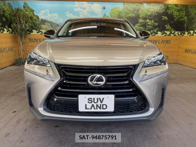 Lexus NX 2017-03 8666406-13