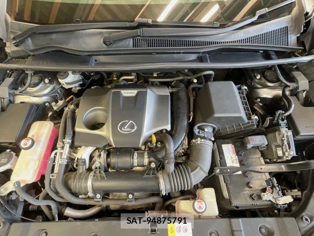 Lexus NX 2017-03 8666406-17