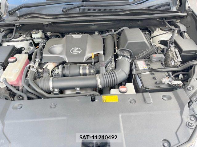 Lexus NX 2014-09 8743454-17