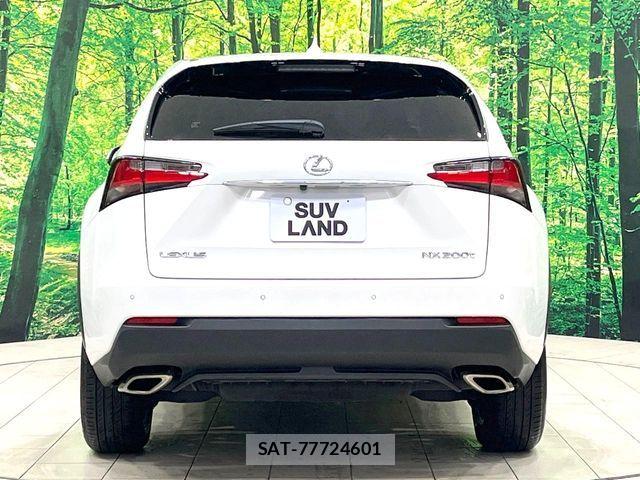 Lexus NX 2014-09 8829968-15