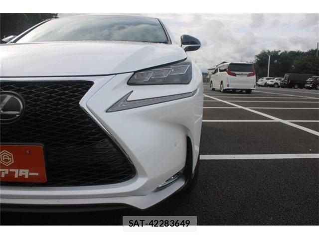 Lexus NX 2014-10 8849582-15