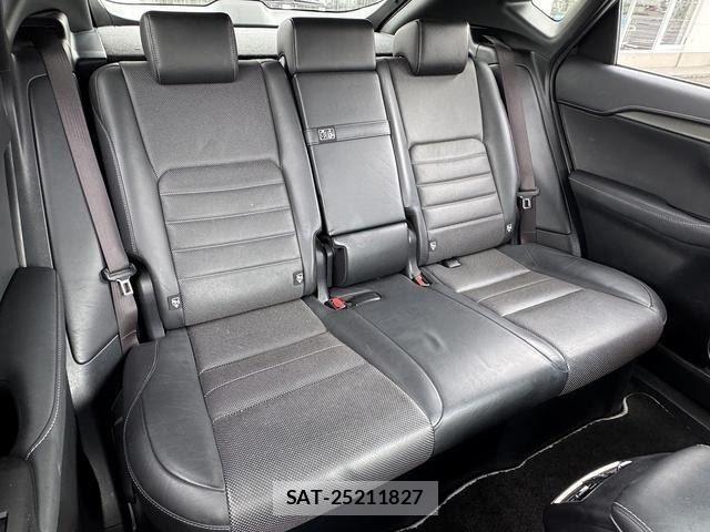 Lexus NX 2014-11 8849247-9