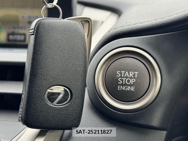 Lexus NX 2014-11 8849247-15