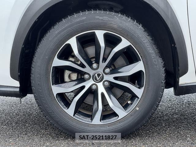 Lexus NX 2014-11 8849247-7
