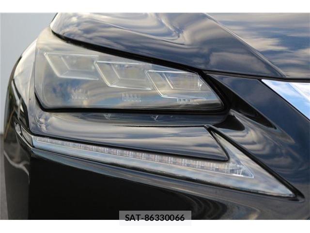 Lexus NX 2016-03 8883850-9