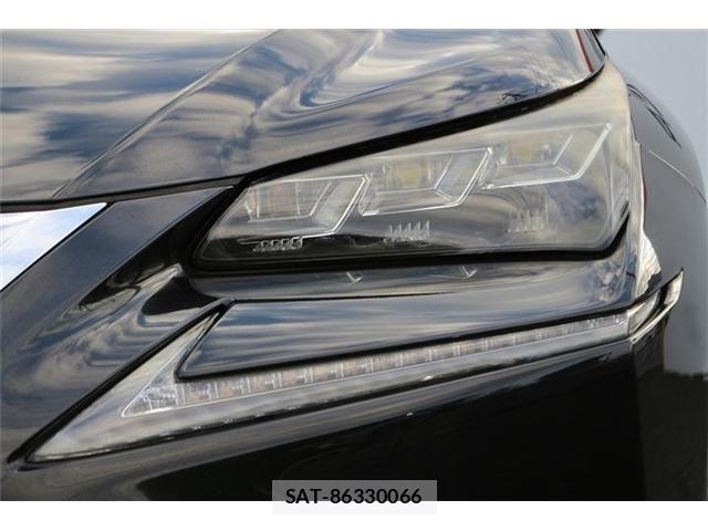 Lexus NX 2016-03 8883850-10