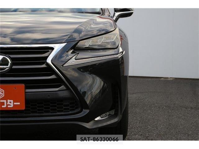 Lexus NX 2016-03 8883850-12