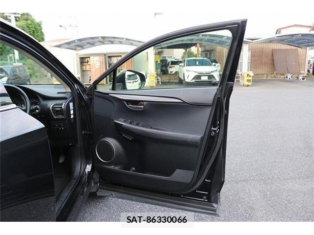 Lexus NX 2016-03 8883850-24