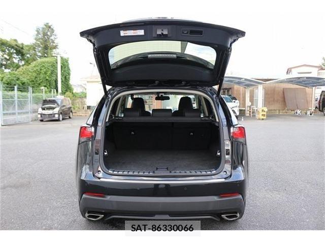 Lexus NX 2016-03 8883850-26