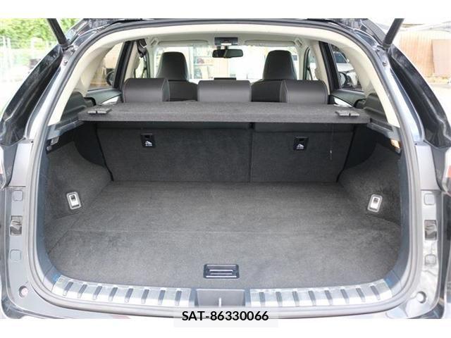 Lexus NX 2016-03 8883850-27