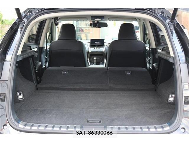Lexus NX 2016-03 8883850-28
