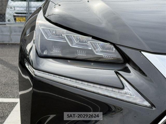 Lexus NX 2016-06 3771430-11