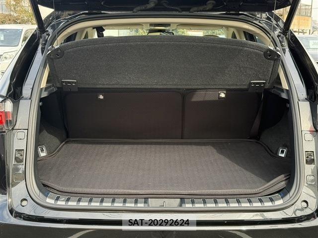 Lexus NX 2016-06 3771430-18