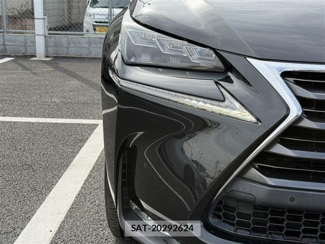 Lexus NX 2016-06 3771430-24