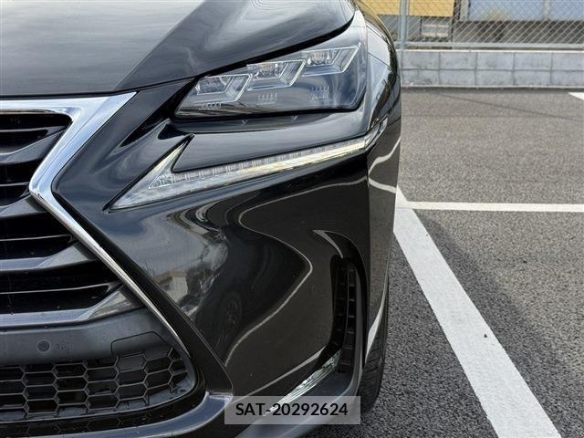 Lexus NX 2016-06 3771430-25