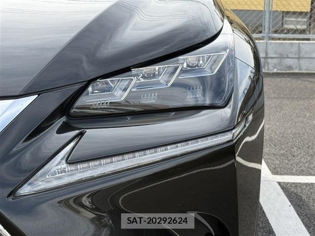 Lexus NX 2016-06 3771430-26