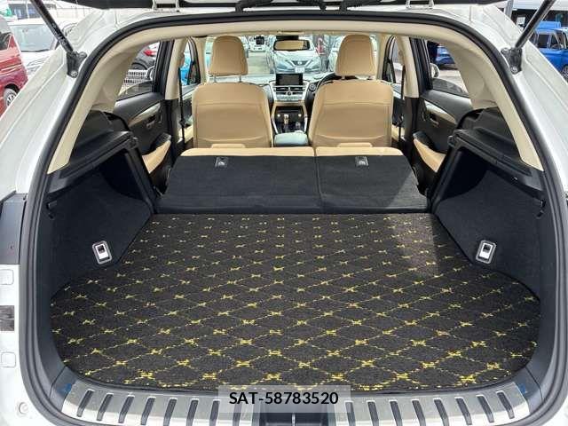 Lexus NX 2015-07 4964585-19