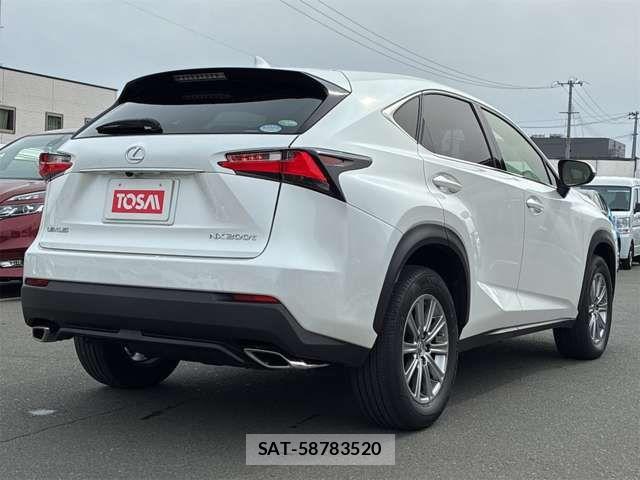 Lexus NX 2015-07 4964585-4