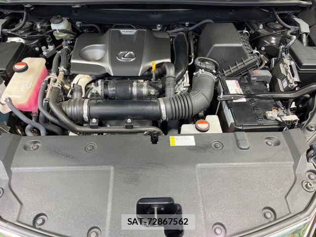 Lexus NX 2015-08 6245214-17