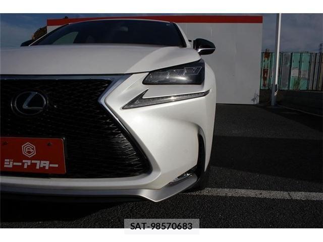 Lexus NX 2015-07 7221009-28