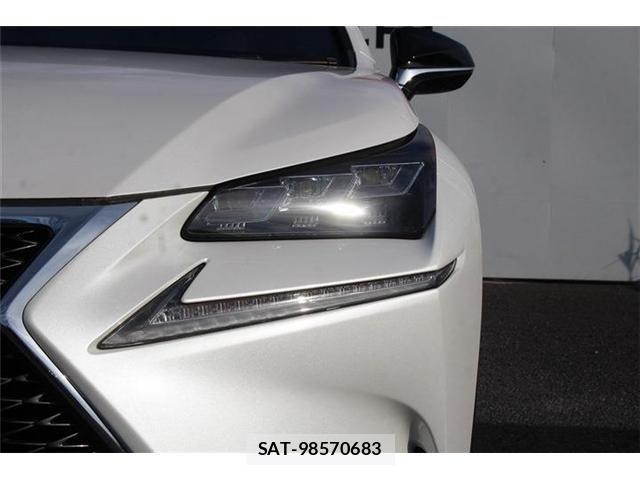 Lexus NX 2015-07 7221009-29