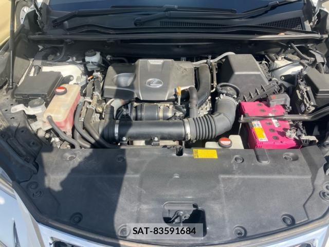 Lexus NX 2014-09 8074353-10
