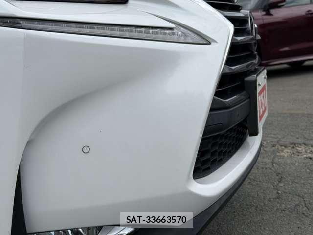 Lexus NX 2015-07 8525553-29