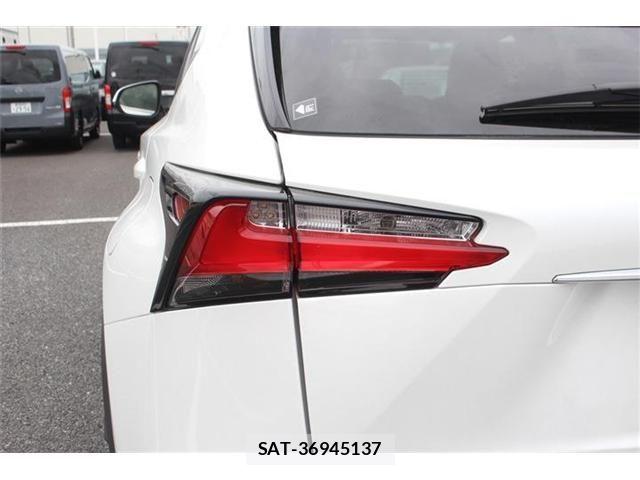 Lexus NX 2015-03 8743458-13
